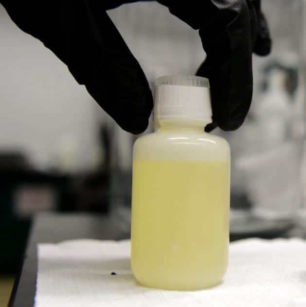 Synthetic Urine Underwear Houston TX 77235